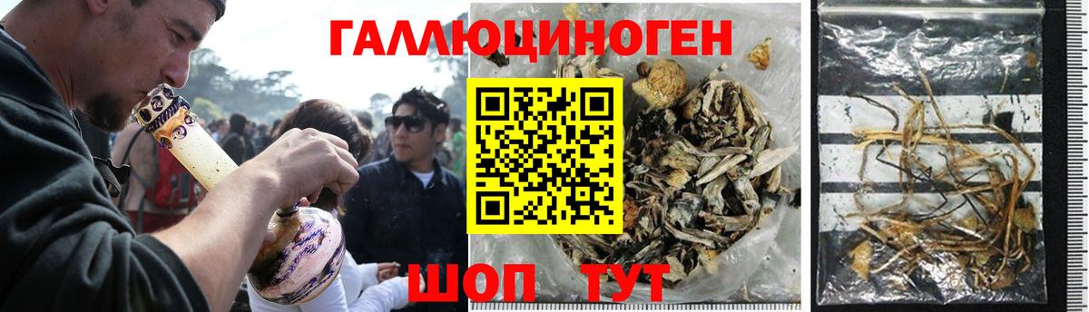 Галлюциногенные грибы GOLDEN TEACHER  купить  сайты  Минеральные Воды  Вход с VPN 